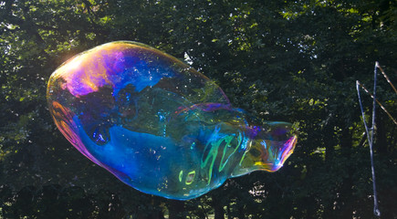 bunte Blase