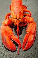 boiled lobster-aragosta bollita