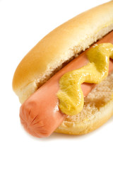 hot dog with mustard