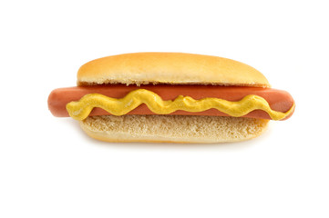 hot dog
