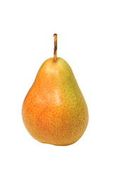 Single ripe pear