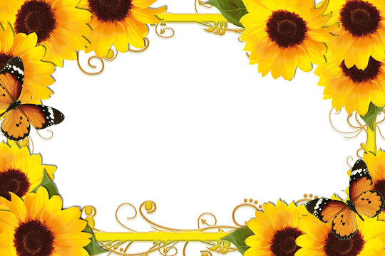 Sunflower Border with butterfly and golden frame