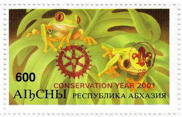 Stamp printed in Abkhazia shows frogs