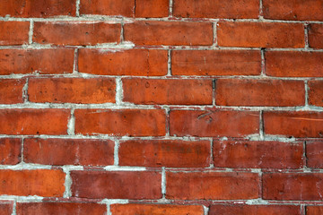 Obraz premium Brick Wall