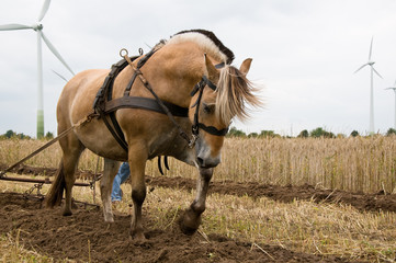 Anstrengung © womue