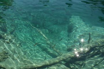 lacs de plitvice, en croatie