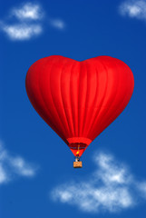 newlyweds fly in a balloon