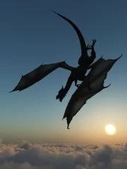 Papier Peint photo autocollant Dragons Dragon silhouette