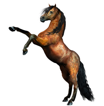 Steigendes Pferd