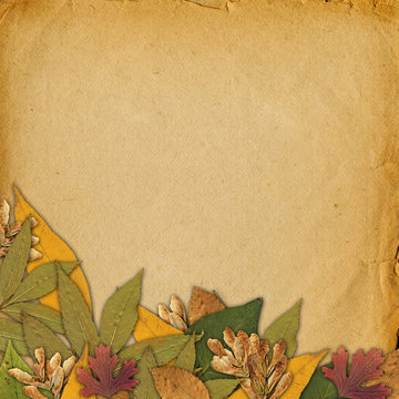 Old grunge frame on the abstract background with autumn leaves