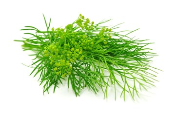 Gewürze, Dill