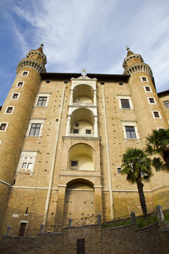 Torricini