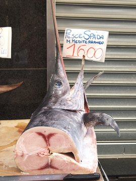 Sword fish on a fish market