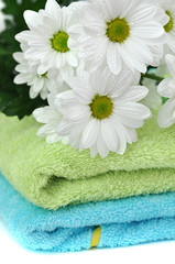 Obraz na płótnie Canvas Wet Daisies on a Folded Towels