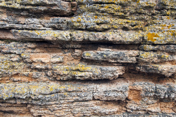 sandstone texture lichen covered