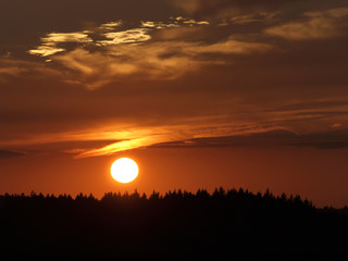 Sonnenuntergang über dem Wald