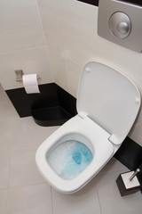 Modern toilet, WC - toilet being flushed