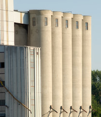 Silo’s bread-factor