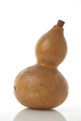 Gourd