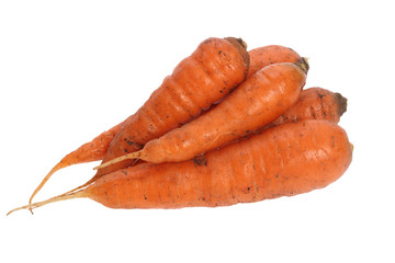 carrot isolated on a white background