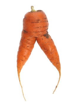 carrot isolated on a white background