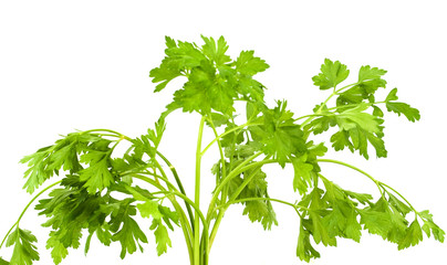 Parsley