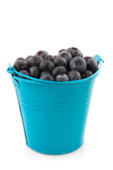 Blue bucket blueberries