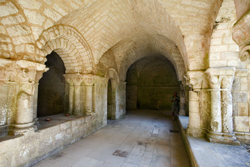 france; 85; marais poitevin,nieul sur l'autise : abbaye saint vi