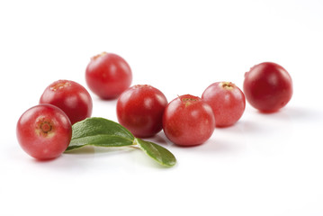 Cranberries on white