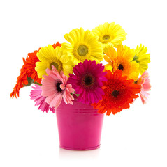 Colorful bouquet Gerber
