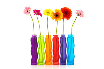 Colorful flowers