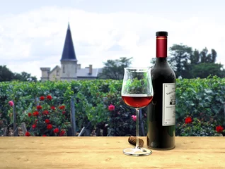 Fotobehang Bordeaux Wein im Médoc © Wilm Ihlenfeld