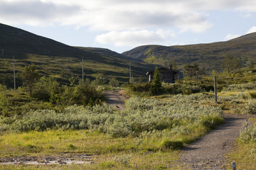 Hiking in Lapland