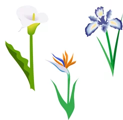 Blumen © radopix