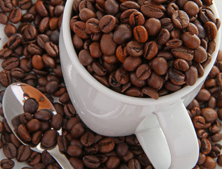 café, tasse et grains