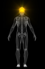 Human body with flashing neurons