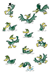 Obraz premium collection of fun cartoo, ducks