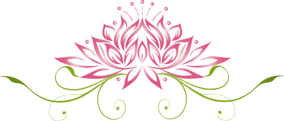 Lotus, Lotusblüte, Wellness, Seerose, Rose, Yoga