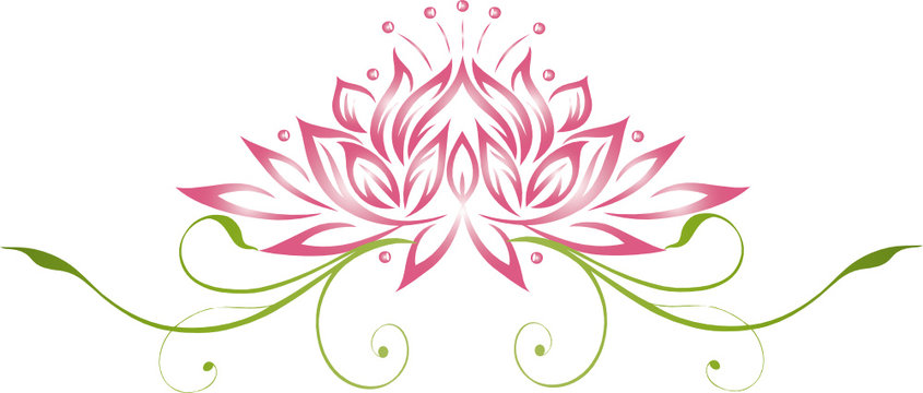 Lotus, Lotusbl&uuml;te, Wellness, Seerose, Rose, Yoga
