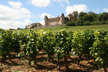 Fototapeta na wymiar Bourguignon winnice