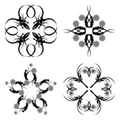 vector illustration of a set of floral ornament