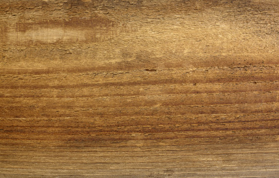 wooden background nature