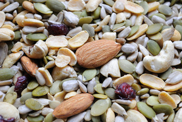 Mixed Nuts and Cranberries