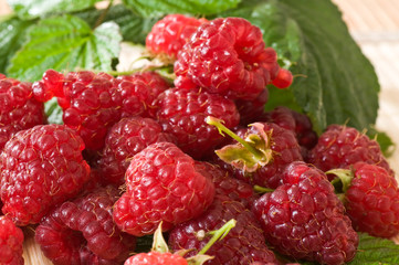 framboises sauvages