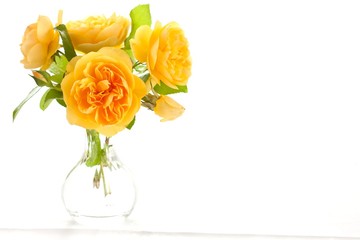 yellow roses in a vase
