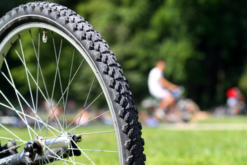 Fahrrad im Park II