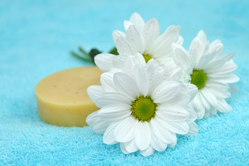 Fototapeta na wymiar Natural Soap