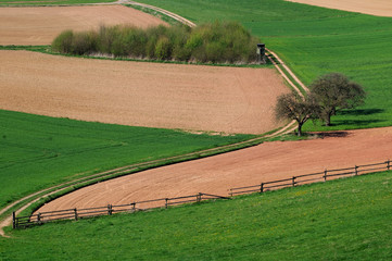 open landscape