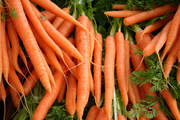 carrotes