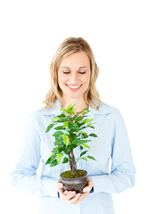 Portrait of a charismatic businesswoman holding a plant